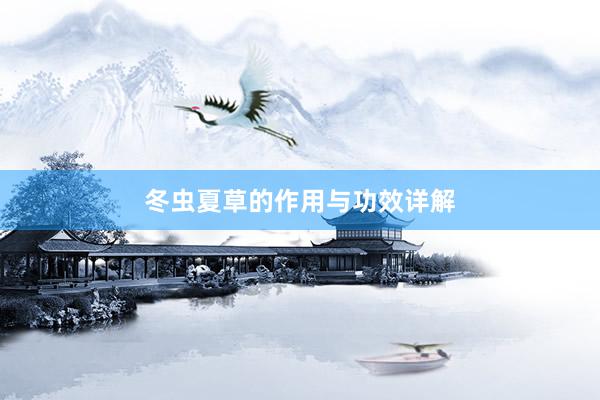 冬虫夏草的作用与功效详解