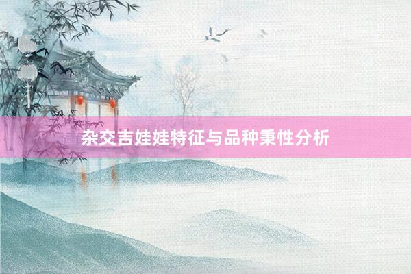 杂交吉娃娃特征与品种秉性分析