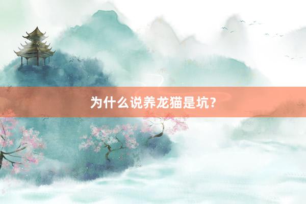 为什么说养龙猫是坑?