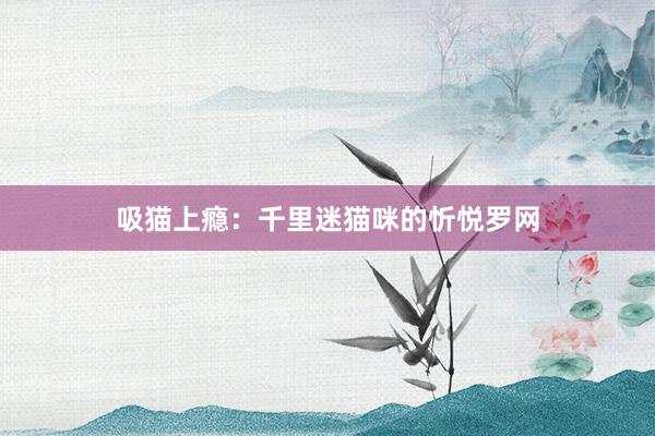 吸猫上瘾：千里迷猫咪的忻悦罗网