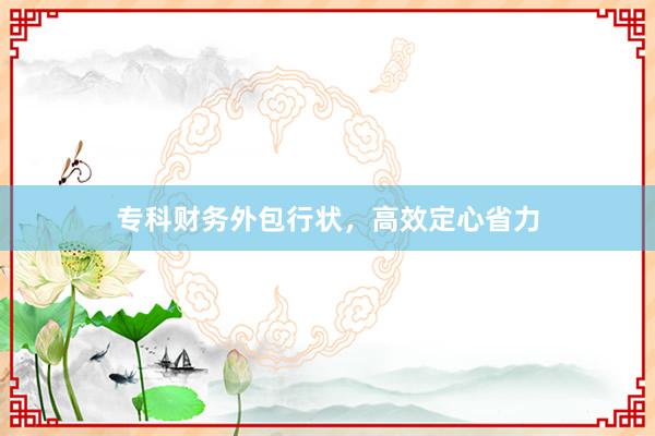 专科财务外包行状,高效定心省力